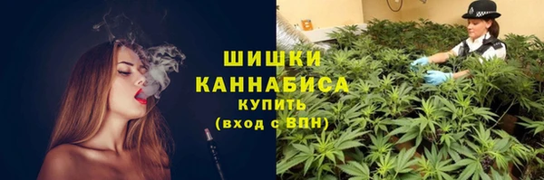 spice Надым