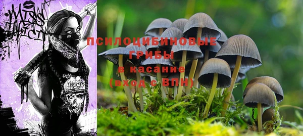 spice Надым