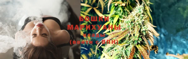 spice Надым