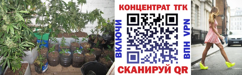 Дистиллят ТГК THC oil Купить Горно-Алтайск