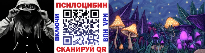 Купить  Горно-Алтайск  Псилоцибиновые грибы Cubensis 